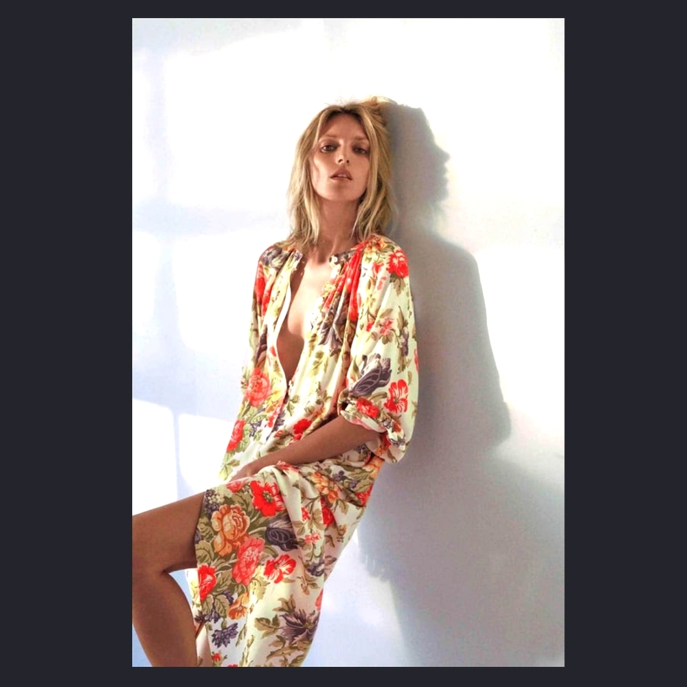Zara Print Dress